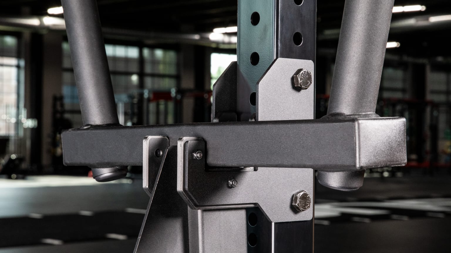 Rogue fitness monster lite accessories outlet
